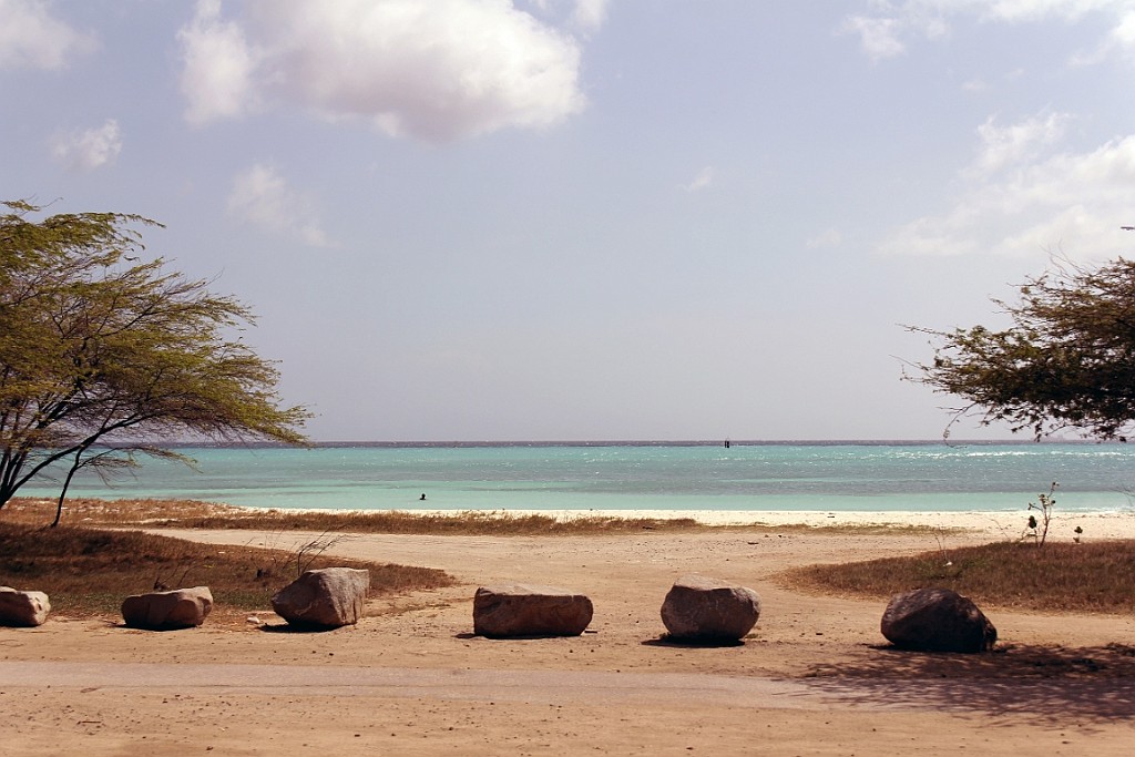 cruise14 (294).jpg